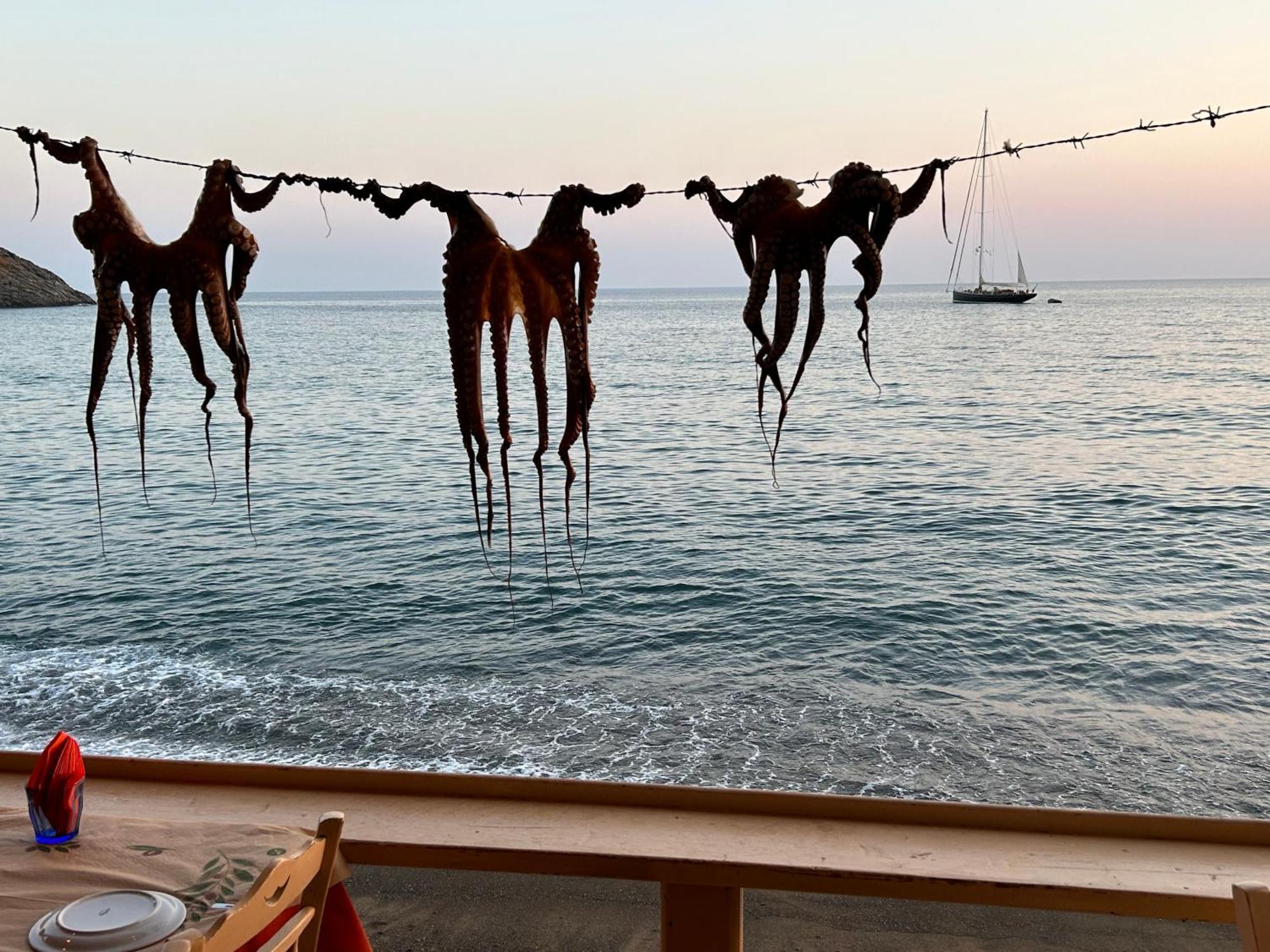 Ocean View Studios And Luxury Rooms Πλωμάρι Εξωτερικό φωτογραφία